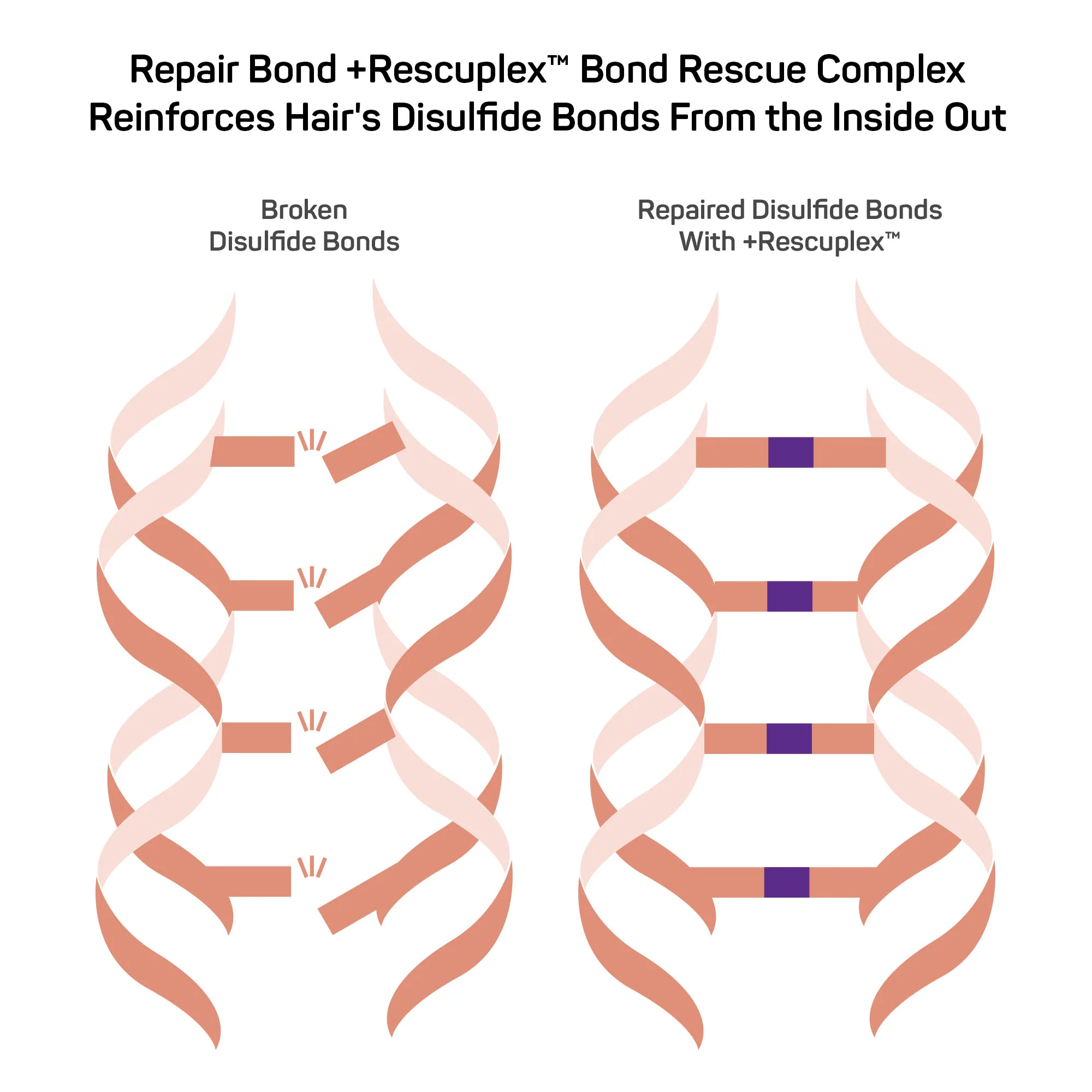 Repair Bond +Rescuplex™ <br> Shampoo - Image 9
